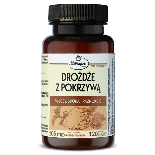 d99c19bfbc77a02249153bf7d2f7248f