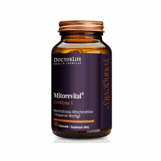 afc27991412f5bbb9d5efb5504e10e8e