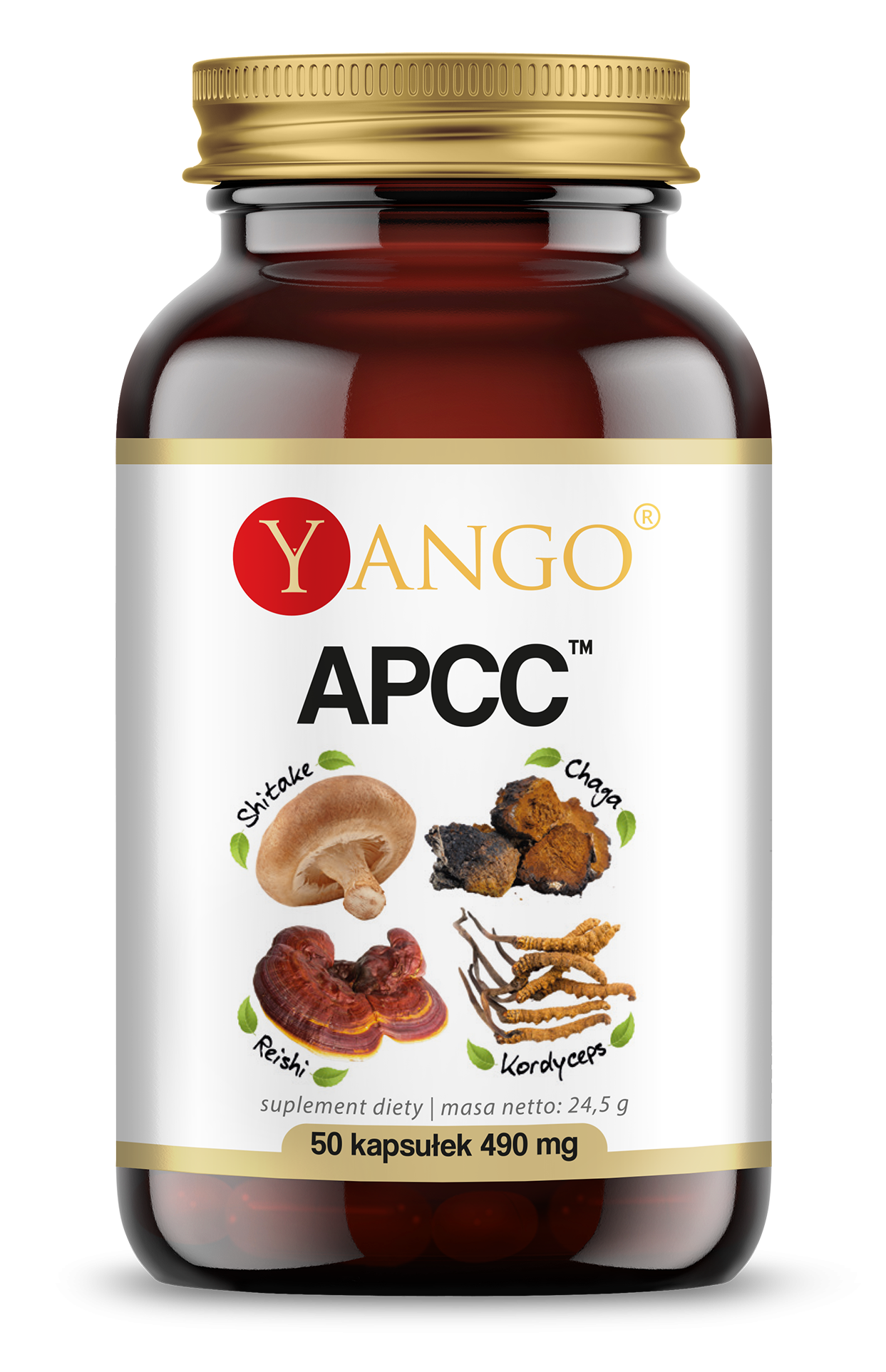 bcd1b47639537cbc3f2522e083832ce1