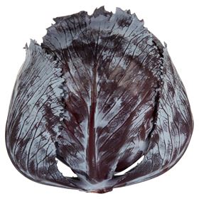 POLNISCHER ROTKOHL