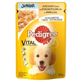 PEDIGREE JUNIOR ALLEINFUTTER FÜR WELPEN RIND IN GELEE-BEUTEL 100 G 24 STÜCK