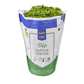 MAKRO CHEF BIO BIO GRIECHISCHES BASILIKUM 1 STÜCK