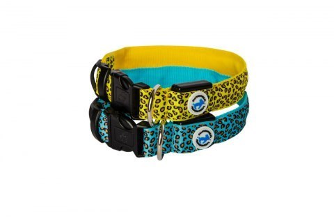 LED-Halsband Leopard Blau M - ALLES FÜR HUNDE