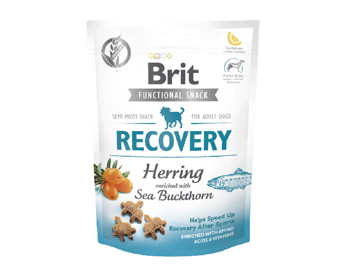 CARE Dog Functional Snack Recovery Hering & Sanddorn 150g - BRIT