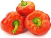 Μεγάλη συσκευασία (kg) - φρέσκο πιπέρι για κονσέρβες BIO (πολωνικό) (περίπου 3 kg)