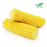 Βραστό καλαμπόκι BIO (πολωνικό) (περίπου 0,40 kg)