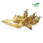 Großpackung (kg) - φρέσκο χρένο BIO (πολωνικό) (περίπου 3 kg)