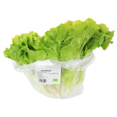 Εντιβία (Chicorée) φρέσκα BIO (περίπου 0,40 kg)