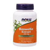 Boswellia 250 MG Extrato de Cúrcuma 120 Cápsulas NOW FOODS
