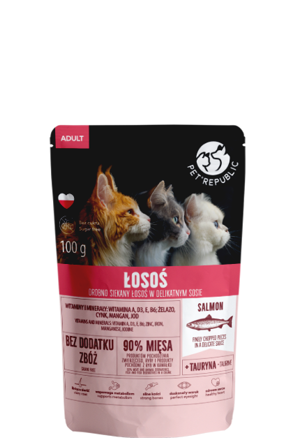 Filets mit Lachs im Beutel für eine Katze 100g - PETREPUBLIC