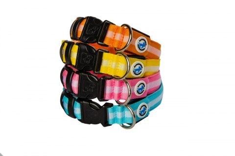 LED-Halsband Orange L - ALLES FÜR HUNDE