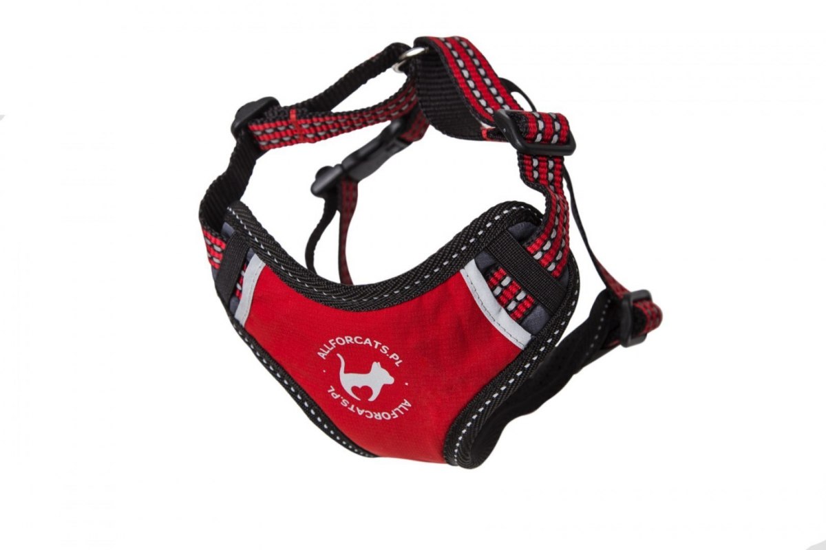 Sportgeschirr Red XS für eine Katze - ALL FOR CATS