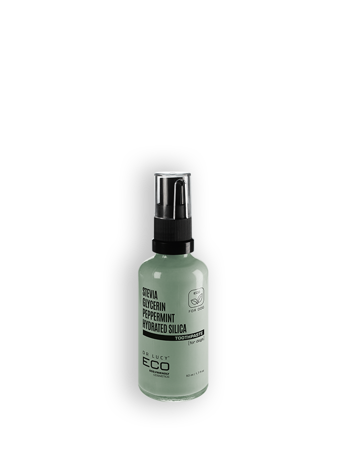ECO Zahnpasta 50ml - DR LUCY