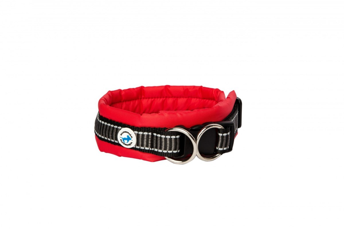 Klassisches Halsband Rot L - ALLES FÜR HUNDE