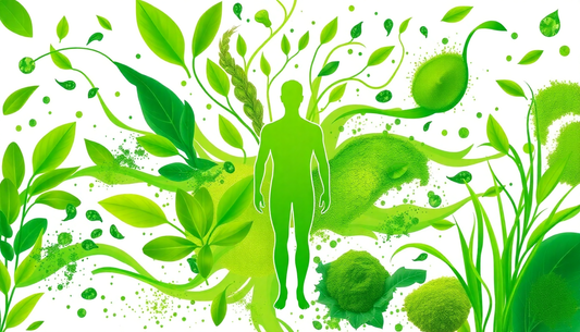 Grüne Superfoods: Wie Chlorophyll Energie, Immunsystem und Entgiftung unterstützt