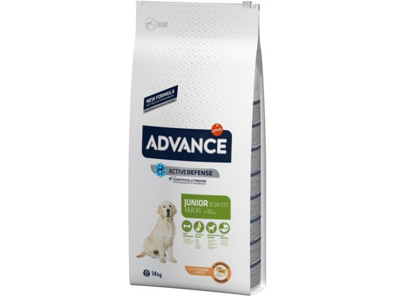 Maxi Junior - dry food for young dogs of large breeds 14kg [923540] - ADVANCE