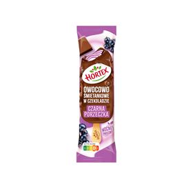 HORTEX FRUCHT- UND CREME-EIS SCHWARZE JOHANNISBEERE IN MILCHSCHOKOLADE 120 ML 24 STÜCK