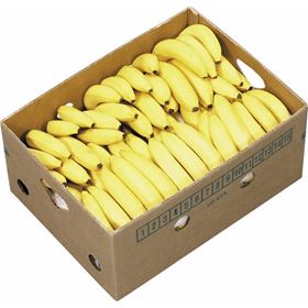 CHIQUITA BANANA 18 KG COSTA RICA