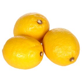 LEMONS 9.5 KG Turkey