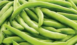 GRÜNE MAMUT-BOHNEN POLEN 500 G
