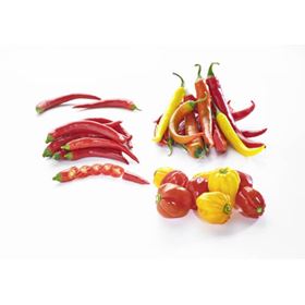 PEPERONI ROT SPANIEN 500 G