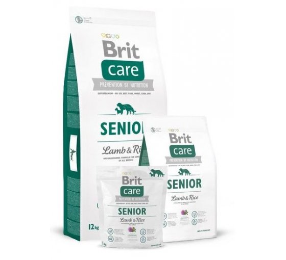 CARE SENIOR LAMM & REIS 3kg - BRIT