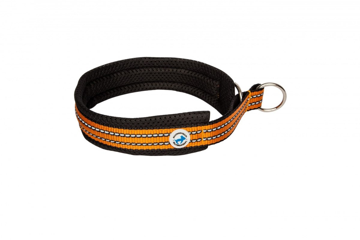 Half Choke Halsband Orange 50 - ALLES FÜR HUNDE