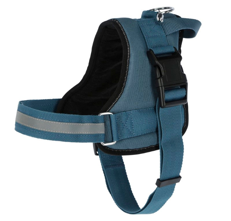 Maestro Harness 2.0 45 - 60 cm x 15 mm Petrol [80210] - KERBL