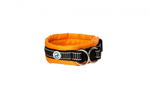 Klassisches Halsband Orange L - ALLES FÜR HUNDE