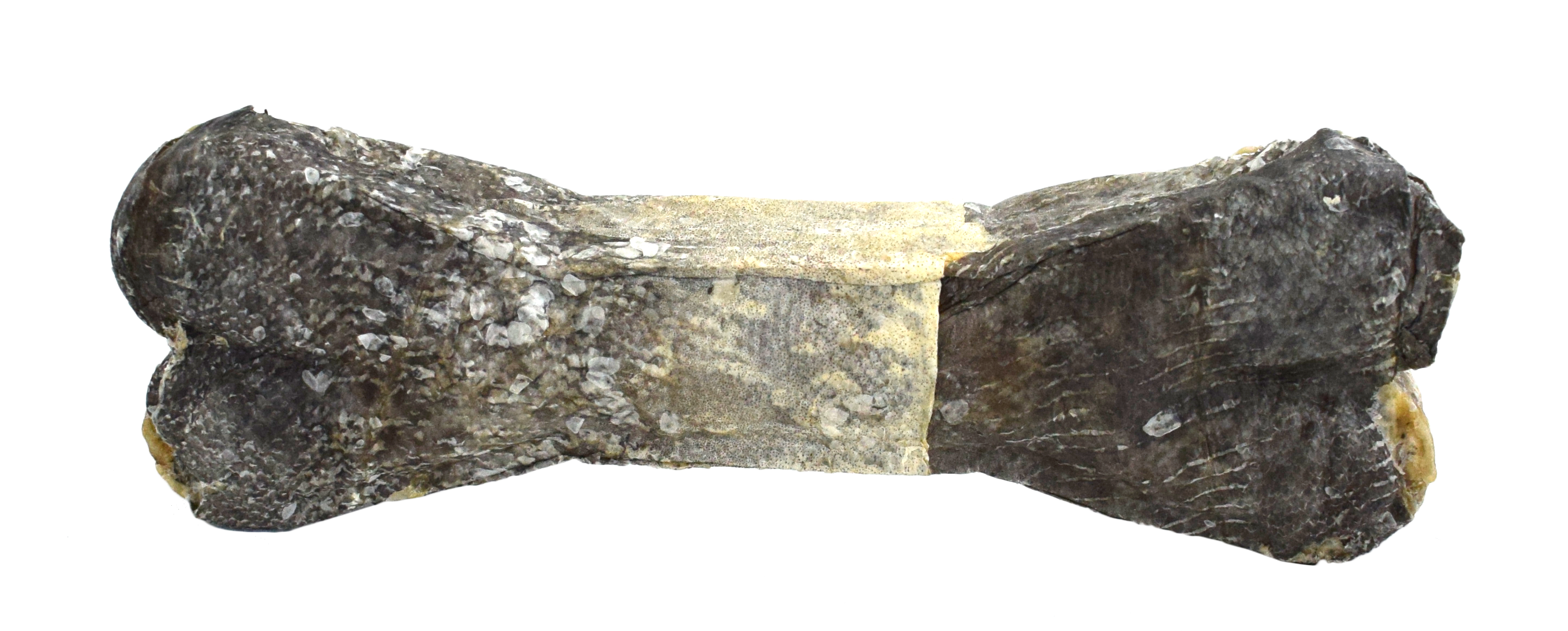 EUPHORIA COD SKIN BONE FISCH Knochen mit Kabeljauhaut 12cm - BIOFEED