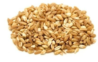 DINKEL (KORN) BIO (RÅVARER) (25 kg)