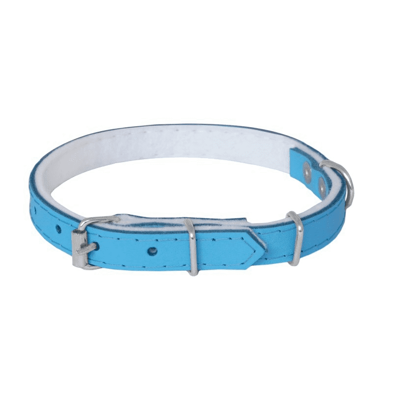 Lederhalsband - 16-45cm Blau - CHABA