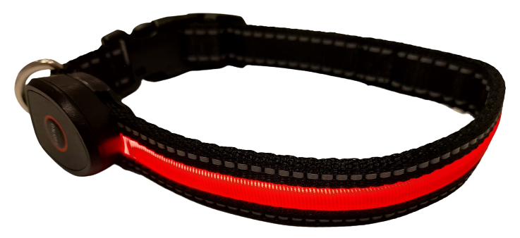 COMFORT LED-Hundehalsband S rot [OLEDQSRD] - PETLOVE