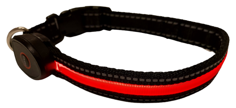 COMFORT LED-Hundehalsband S rot [OLEDQSRD] - PETLOVE