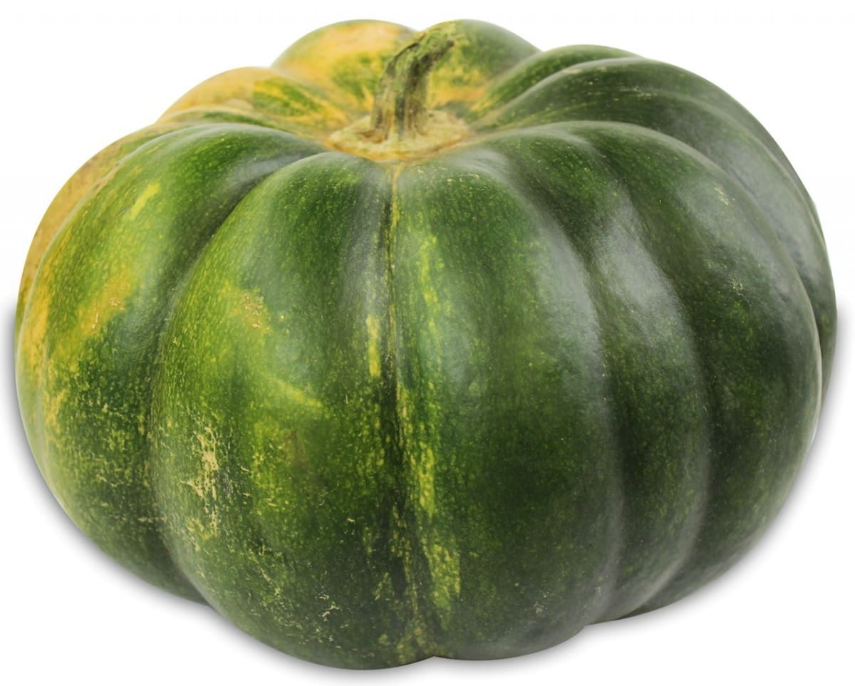 Frisk provencalsk græskar BIO (polsk) (fra 300 til 600 kg)