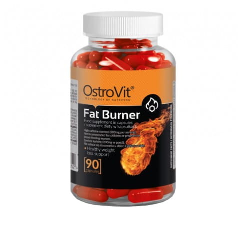 Fatburner 90 Kapseln OSTROVIT