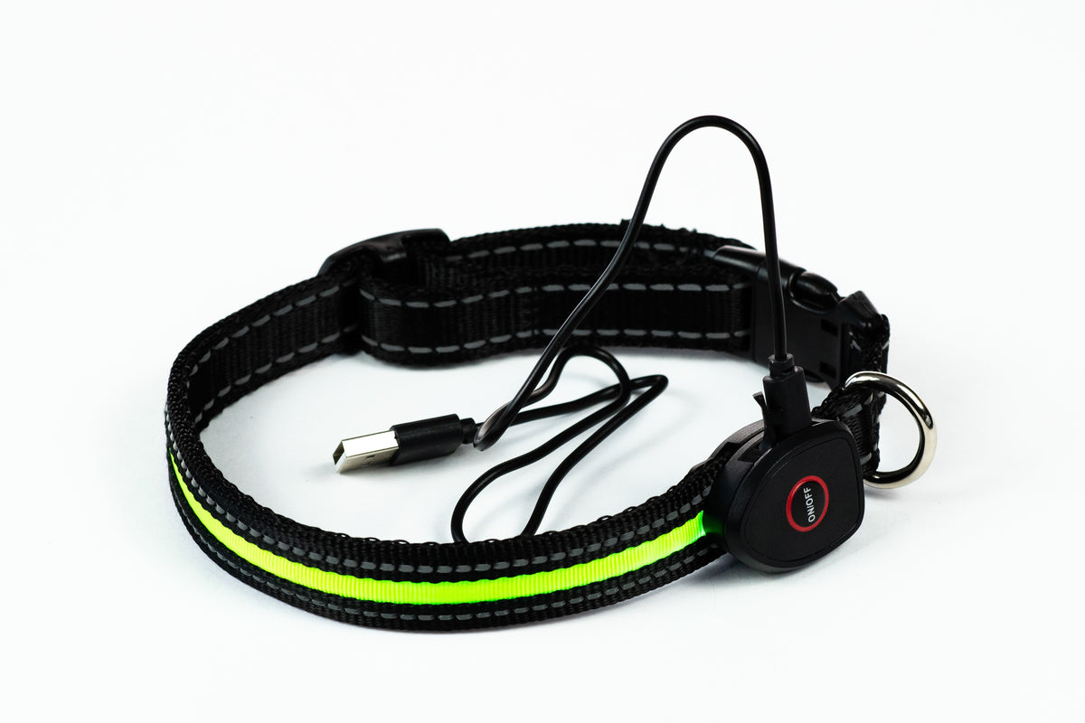 LED COMFORT Hundehalsband S gelb [OLEDQSYE] - PETLOVE