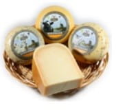 Junger Gouda-Käse Bockshornklee kleiner Kreis (ca. 1 kg) BIO kg KINDERDIJK