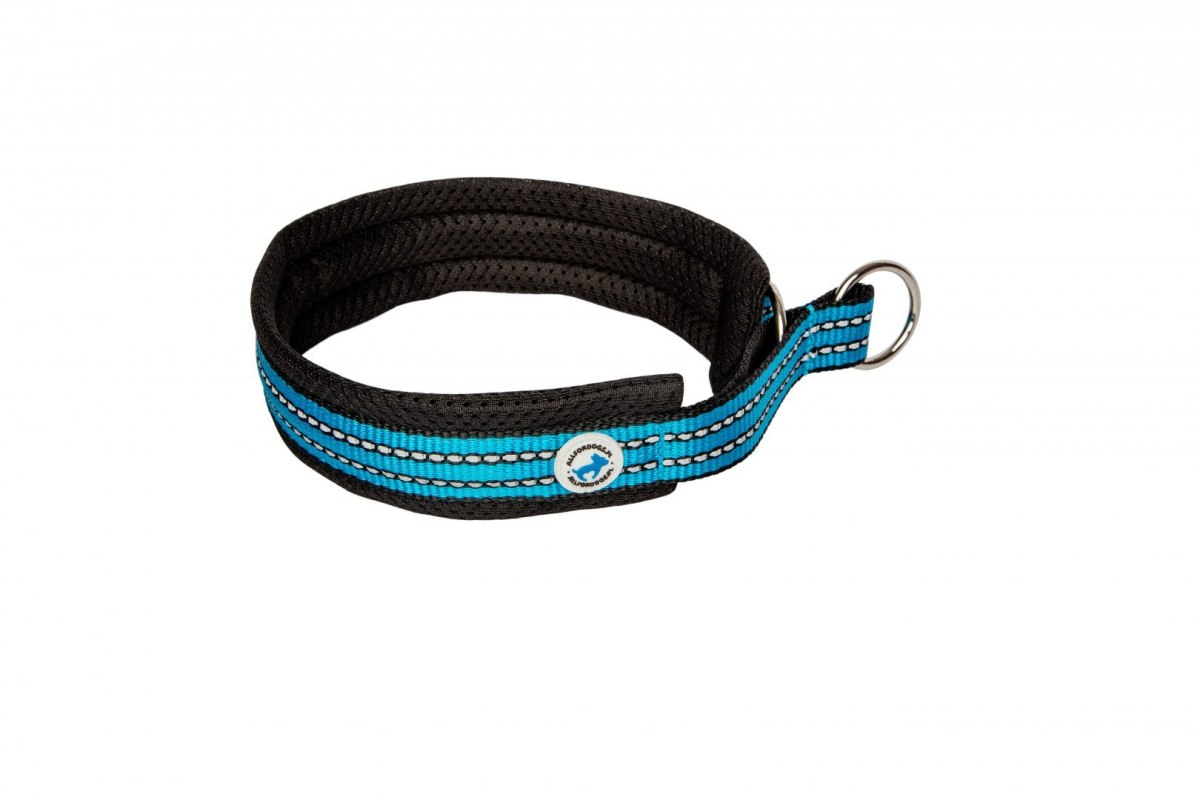 Half Choke Halsband Blau 40 - ALLES FÜR HUNDE