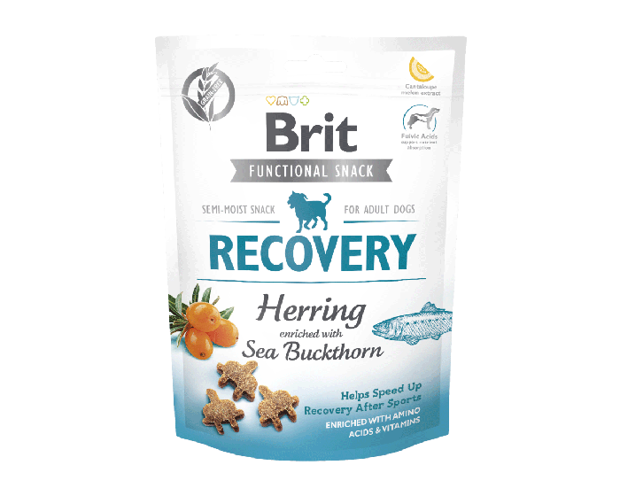 CARE Dog Functional Snack Recovery Hering & Sanddorn 150g - BRIT