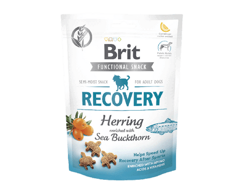 CARE Dog Functional Snack Recovery Hering & Sanddorn 150g - BRIT