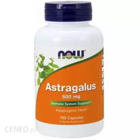 Astragalus Astragalus 500mg 100 Kapseln NOW FOODS