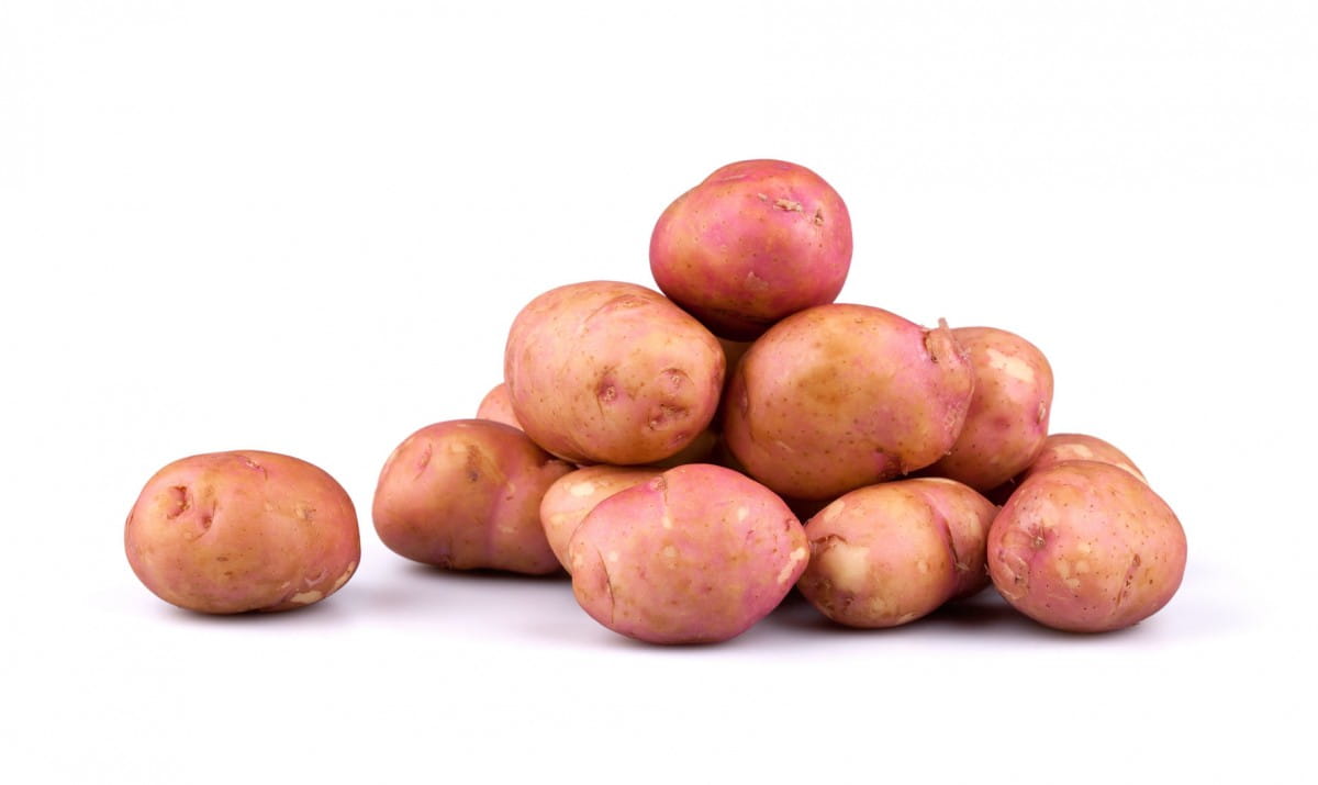 Pakej besar (kg) - kentang merah segar, segar BIO (Poland) (lebih kurang 10 kg)