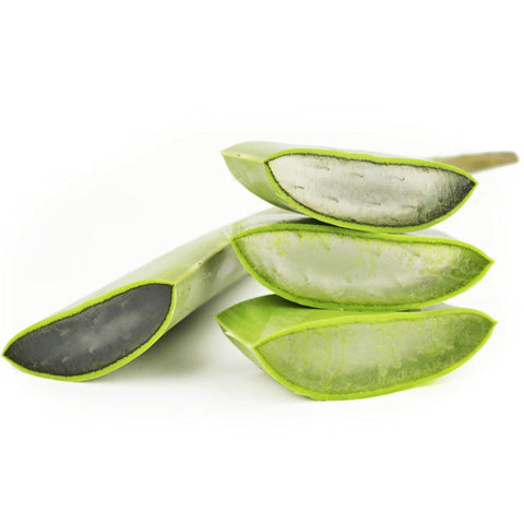 MULTIPACK (kg) - ALOE FRESH BIO (ca. 4 kg)