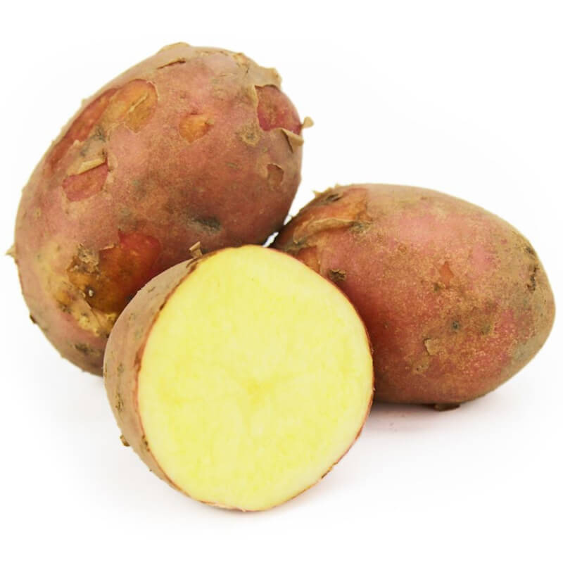 Unge røde kartofler, friske ØKO (polsk) (ca. 2,00 kg)