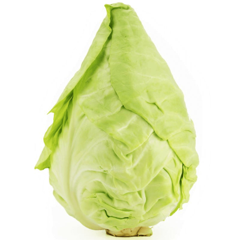 Nagycsomagolás (kg) - friss káposzta BIO (lengyel) (kb. 8 kg)
