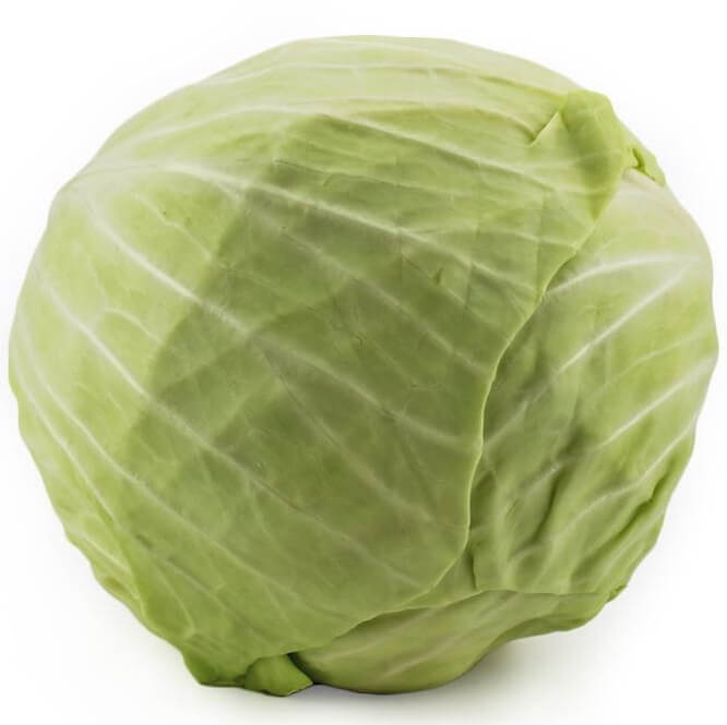 Färsk vitkål BIO (ca. 1 kg)