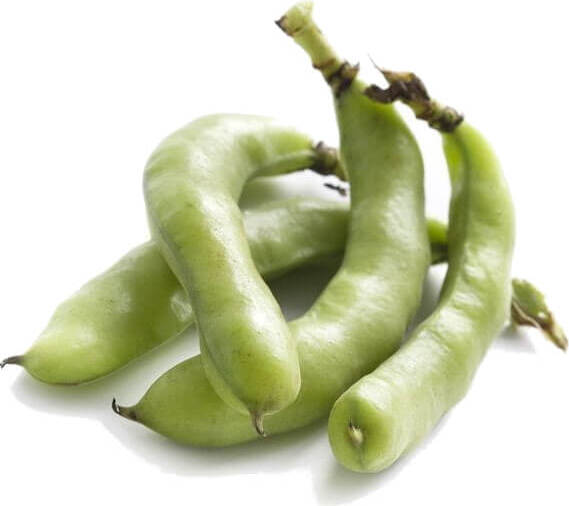 Kacang Segar BIO (Poland) (lebih kurang 0.50 kg)