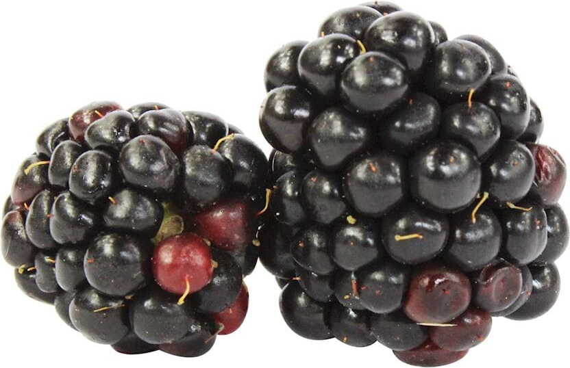 Färska björnbär BIO (ca. 125 g)