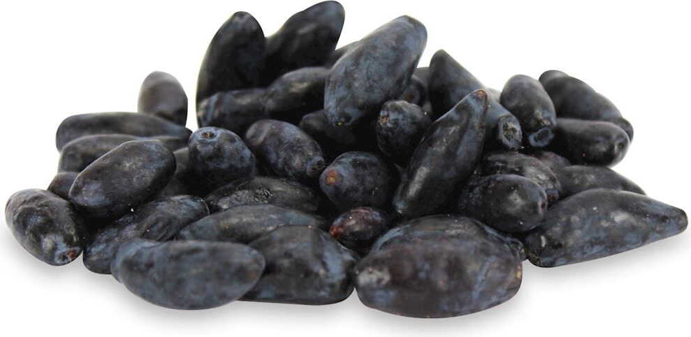 Bacca di Kamchatka fresca BIO (polacco) (ca. 250g)
